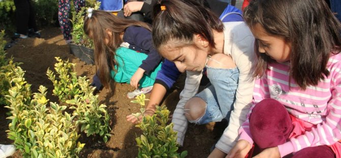 MİNİK ELLER TOPRAKLA BULUŞTU KARTAL'IN PARK MEYDANI YEŞİLLENDİ