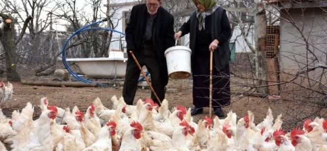 91 YAŞINDAKİ GİRİŞİMCİ ÇİFT GENÇLERE TAŞ ÇIKARTIYOR