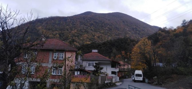 GEYVE'NİN NURİ OSMANİYE KÖYÜ KARANTİNAYA ALINDI HABERİNE YALANLAMA