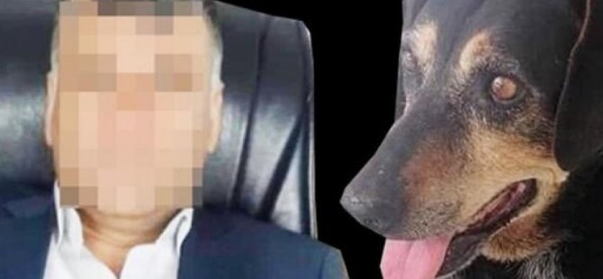 KARTAL'DA İĞRENÇ OLAY! KÖPEĞE TECAVÜZ EDEN  ZANLIYA SOSYAL MEDYADA TEPKİ YAĞDI