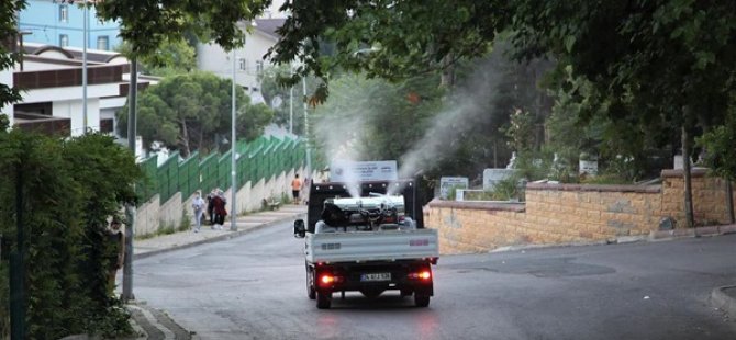 KARTAL'IN TÜM MAHALLELERİ SİVRİSİNEKLERE KARŞI İLAÇLANIYOR