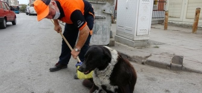 PENDİK'TE YÜREKLERİ ISITAN GÖRÜNTÜ! SOKAK KÖPEĞİNE SÜPÜRGESİYLE MASAJ YAPTI