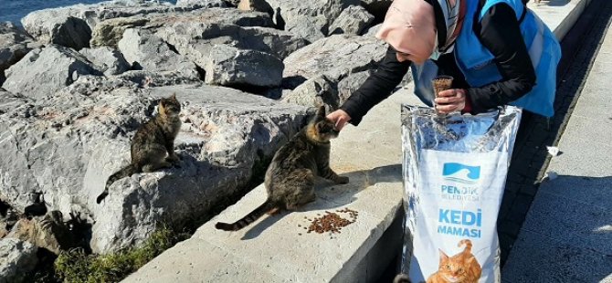 PENDİK GÖNÜLLÜLERİ HAFTA SONU YASAĞINDA SOKAK CANLARINI UNUTMADI