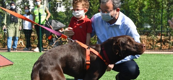 NEŞELİ PATİLER KÖPEK EĞİTİM PARKI'NDA MİNİK DOSTLAR YARIŞACAK