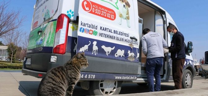 KARTAL BELEDİYESİ'NDEN HAFTA SONU YASAĞINDA SOKAK CANLARINA MAMA VE SU DESTEĞİ