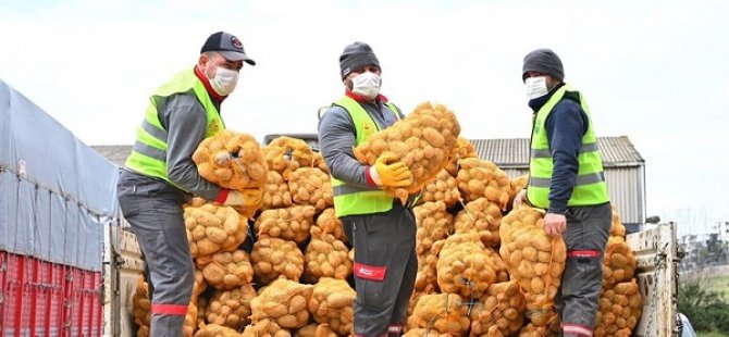 HALKA ÜCRETSİZ DAĞITILACAK PATATES VE SOĞANLAR TUZLA'YA ULAŞTI