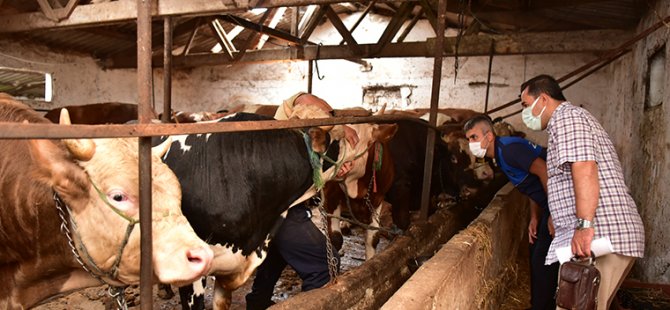 TUZLA'DA KURBANLIK SATIŞ VE KESİM ALANLARINA SIKI DENETİM