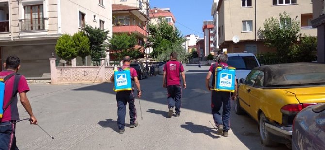 PENDİK'TE SİVRİSİNEKLERE KARŞI ETKİN MÜCADELE SIKLAŞTI