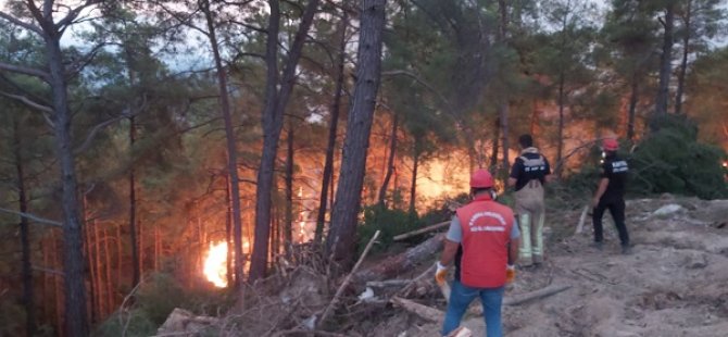 KARTAL BELEDİYESİ'NİN ORMAN YANGINLARI İLE DESTEK MÜCADELESİ SÜRÜYOR