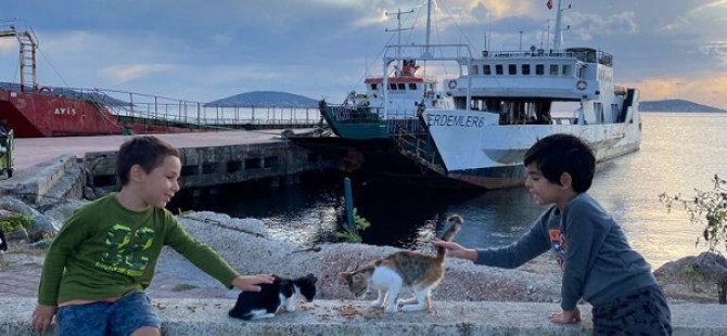 KREŞLİ MİNKLER SOKAK CANLARI  İÇİN MAMA DAĞITTI