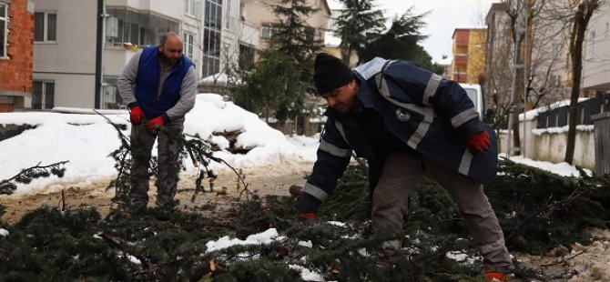 KARTAL'DA BUDANAN AĞAÇ DALLARI İHTİYAÇ SAHİPLERİNE YAKACAK OLUYOR