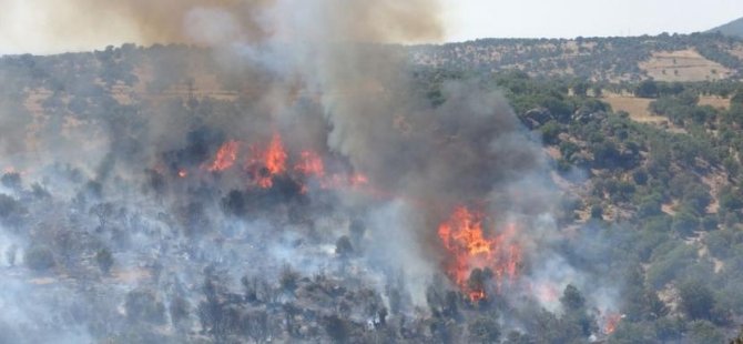 8 İLDE MEYDANA GELEN ORMAN YANGINLARINA MÜDAHALE SÜRÜYOR