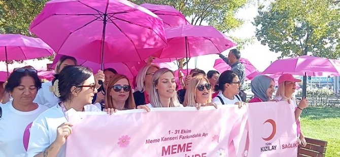 KARTAL'DA PEMBE PATİKA YÜRÜYÜŞÜ İLE MEME KANSERİNE DİKKAT ÇEKİLDİ