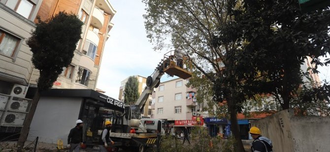 KARTAL'DA AĞAÇ BUDAMA ÇALIŞMALARI DEVAM EDİYOR