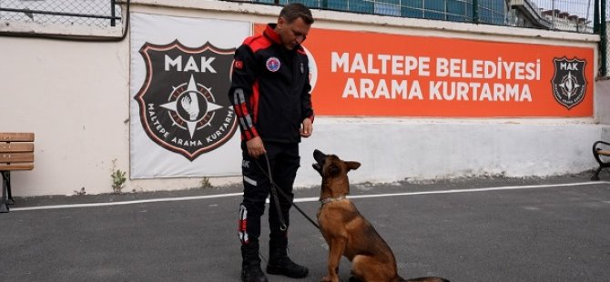 MALTEPE'NİN CAN DOSTLARI ARAMA KURTARMA KÖPEĞİ OLUYOR