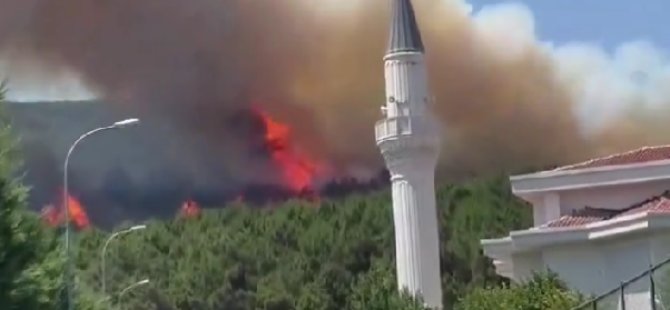 PENDİK AYDOS ORMANI'NDA  ÇIKAN YANGINDA 4 HEKTARLIK ALAN ETKİLENDİ