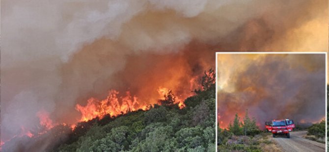 ÇANAKKALE'DE ORMAN YANGINI;CONKBAYIRI ZİYARETE KAPATILDI