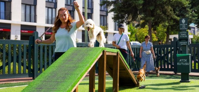 TÜRKİYE’NİN EN KAPSAMLI KÖPEK EĞİTİM MERKEZİ ÜMRANİYE’DE