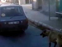 KÖPEĞİ ARABAYA BAĞLAYIP SÜRÜKLEYEN SAPIK ARANIYOR