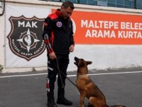 MALTEPE'NİN CAN DOSTLARI ARAMA KURTARMA KÖPEĞİ OLUYOR