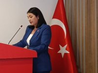 ÖZLEM CENDERE DOĞAN CHP KARTAL KADIN KOLLARI BAŞKANLIĞI'NA ADAYLIĞINI AÇIKLADI