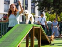 TÜRKİYE’NİN EN KAPSAMLI KÖPEK EĞİTİM MERKEZİ ÜMRANİYE’DE